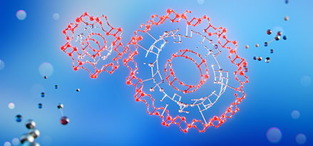 Molécules rouges créant 2 rouages.